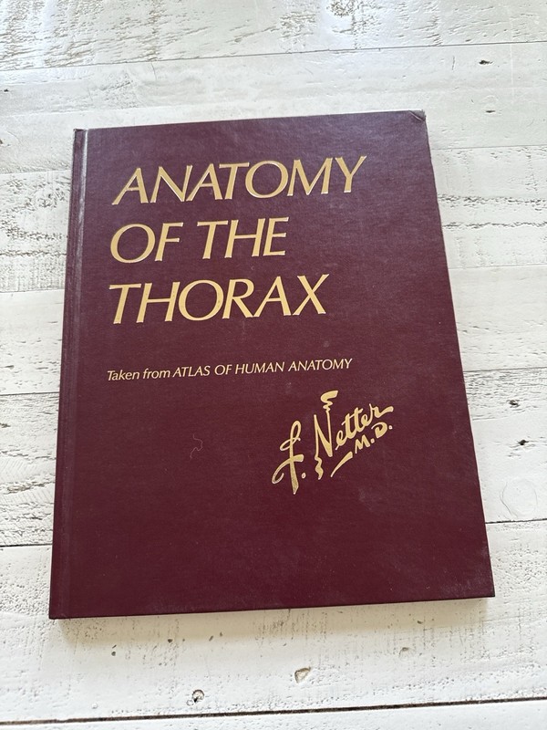 Anatomy of the Thorax by Frank Netter MD 1990 CIBA Atlas Medical Book