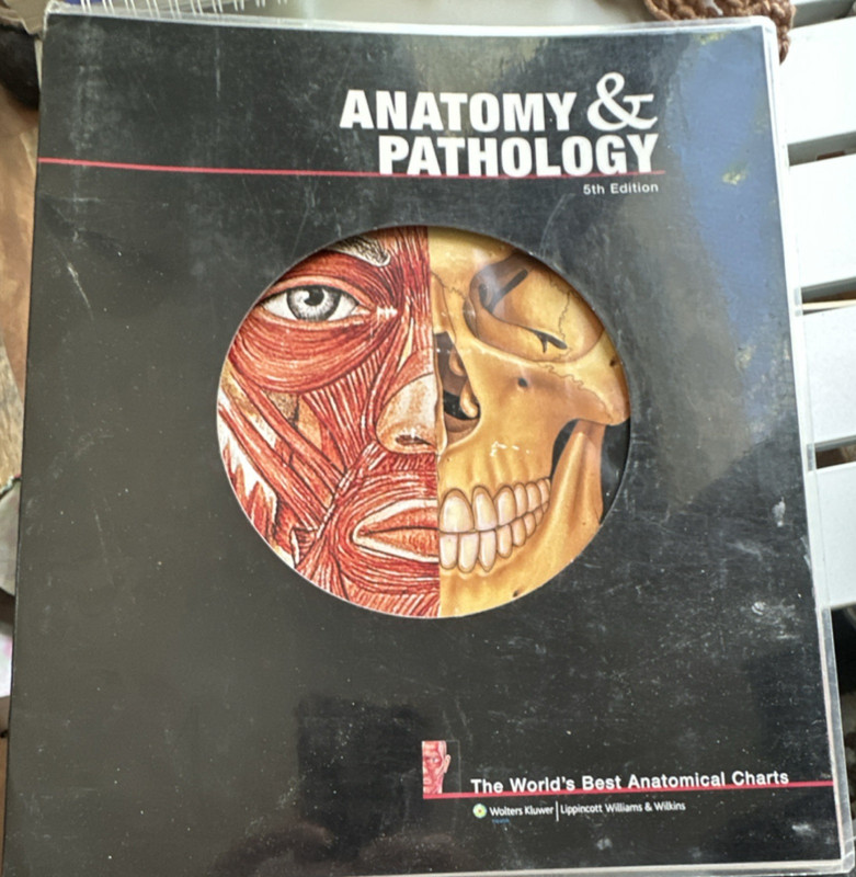 Anatomical Chart Company Anatomy & Pathology 5th Ed Ring/Wire Bound (2008)