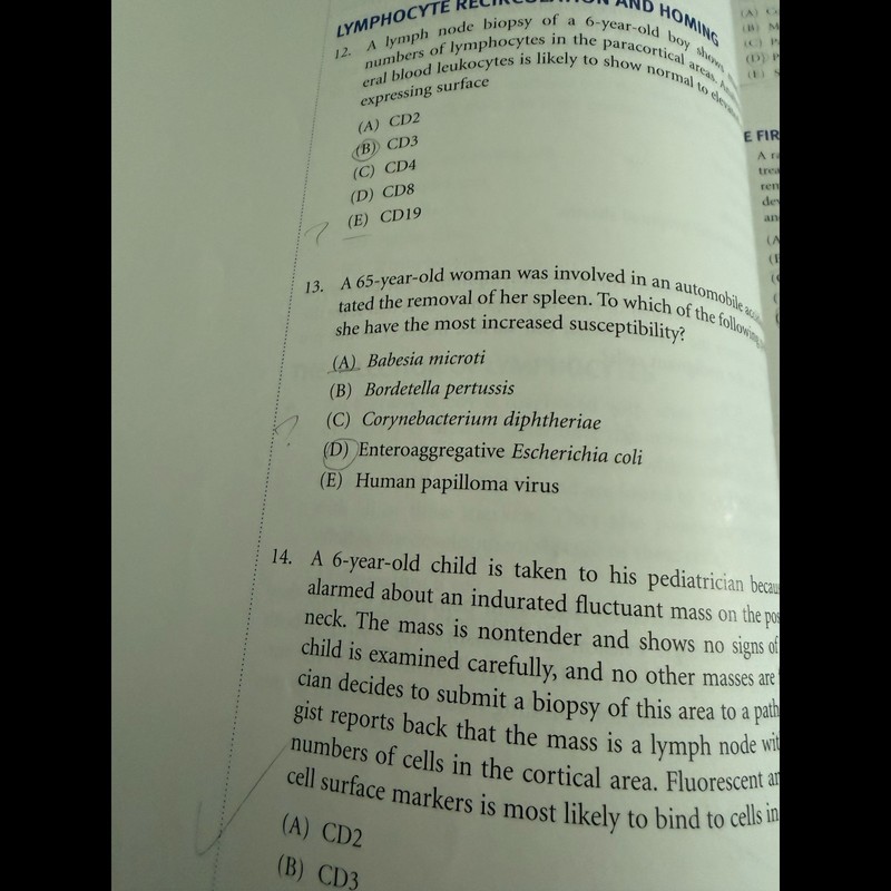 Kaplan Medical COMLEX-USA Level 1 Lecture Notes Set (2022-2023) Preclinical OMM gallery