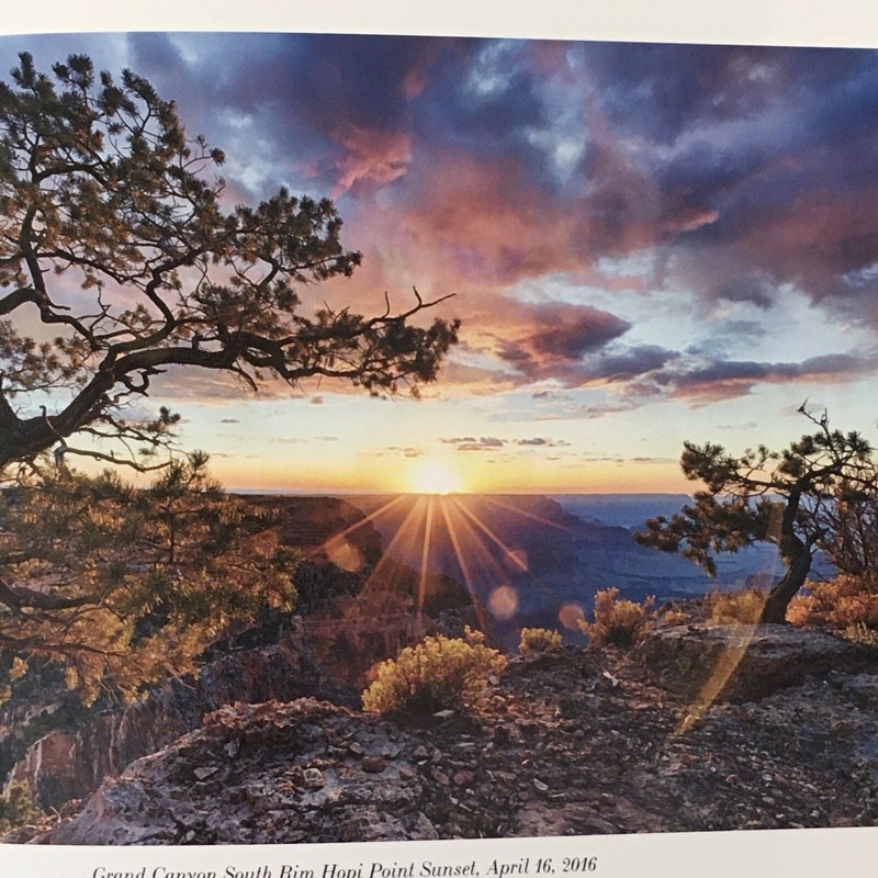 Divided Light Daniel James Alpert First Printing HB DJ ISBN 9780578669526 256 PP gallery