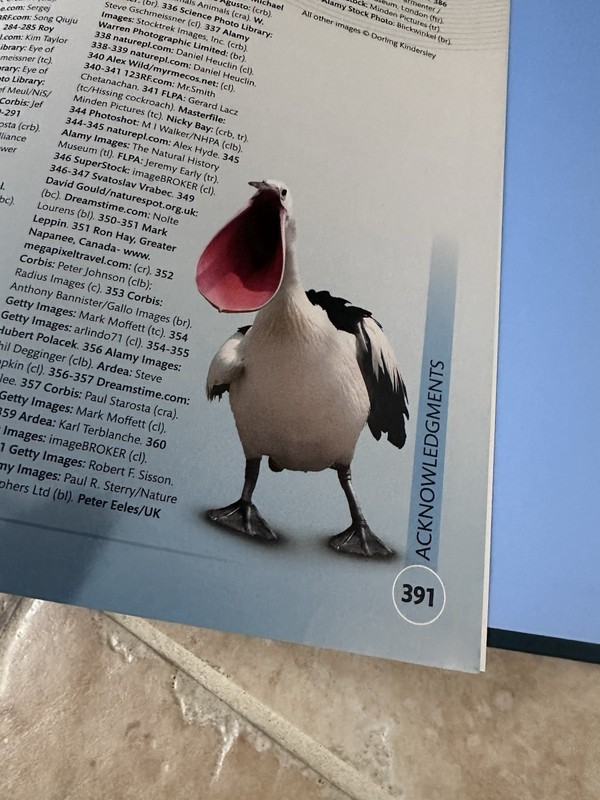 Smithsonian Superfacts Animals HC Book DK Publishing 2024 Lg Reference Decor EC gallery