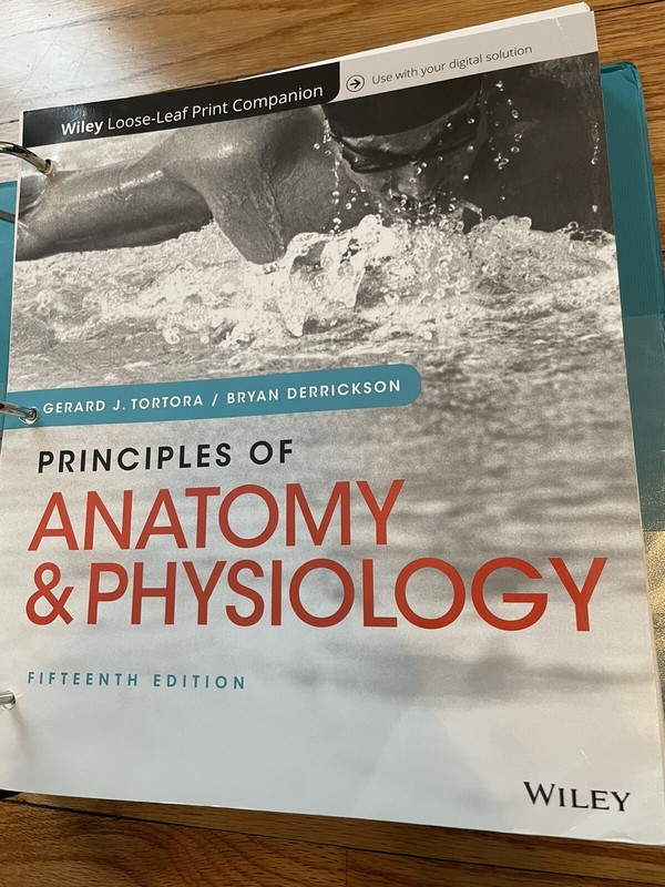 Principles of Anatomy and Physiology by Bryan H. Derrickson and Gerard J….