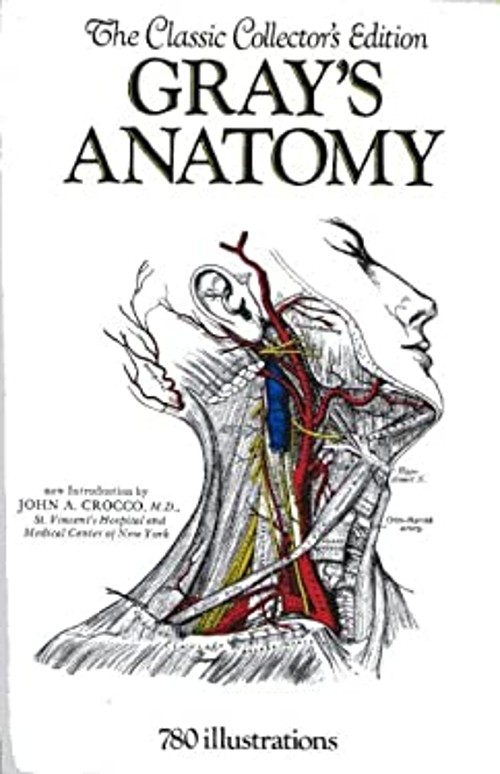 Gray’s Anatomy Paperback Henry Gray
