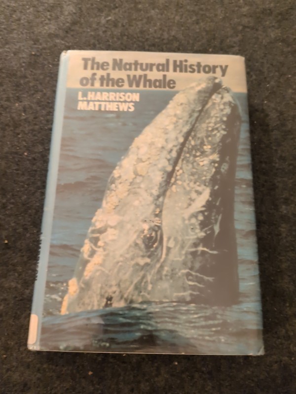 1978 The Natural History of the Whale by L. Harrison Matthews. First Edition (V)
