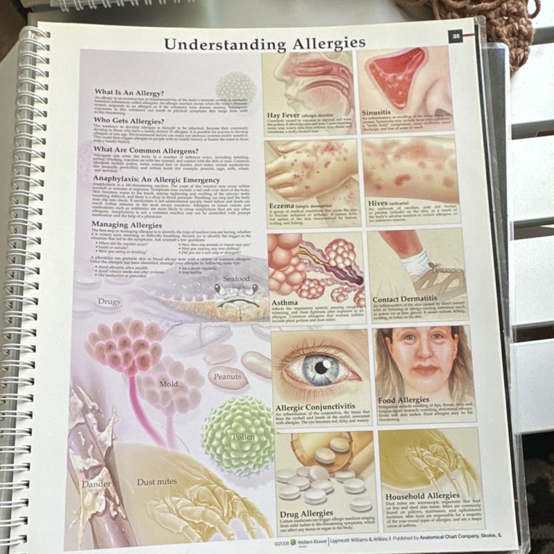 Anatomical Chart Company Anatomy & Pathology 5th Ed Ring/Wire Bound (2008) gallery