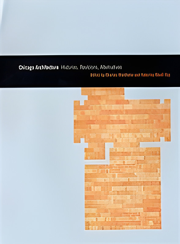 Chicago Architecture: Histories, Revisions, Alternatives (Chic…