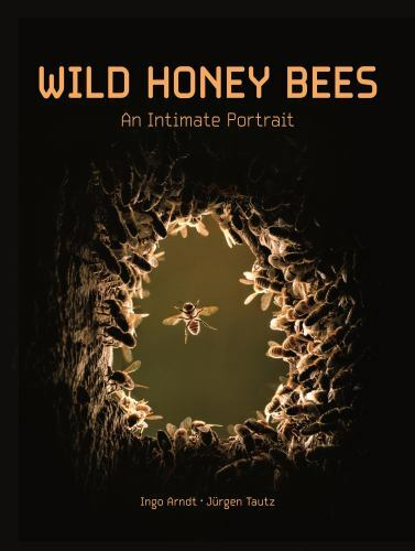 Wild Honey Bees: An Intimate Portrait by Arndt, Ingo; Tautz, Jürgen