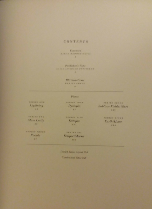 DIVIDED LIGHT - Hardcover + Dust Jacket 1st Print April 2020 Daniel James Alpert gallery