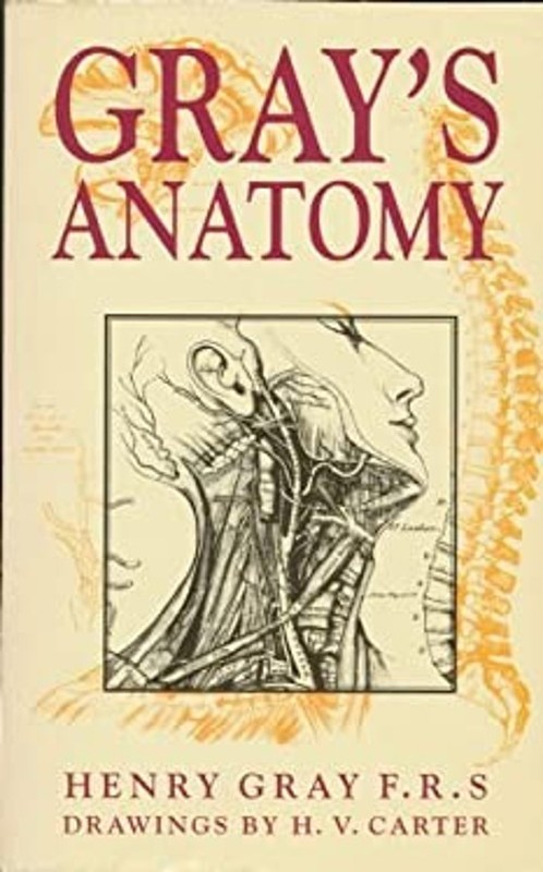 Gray’s Anatomy Paperback Henry, Gray, Henry Gray