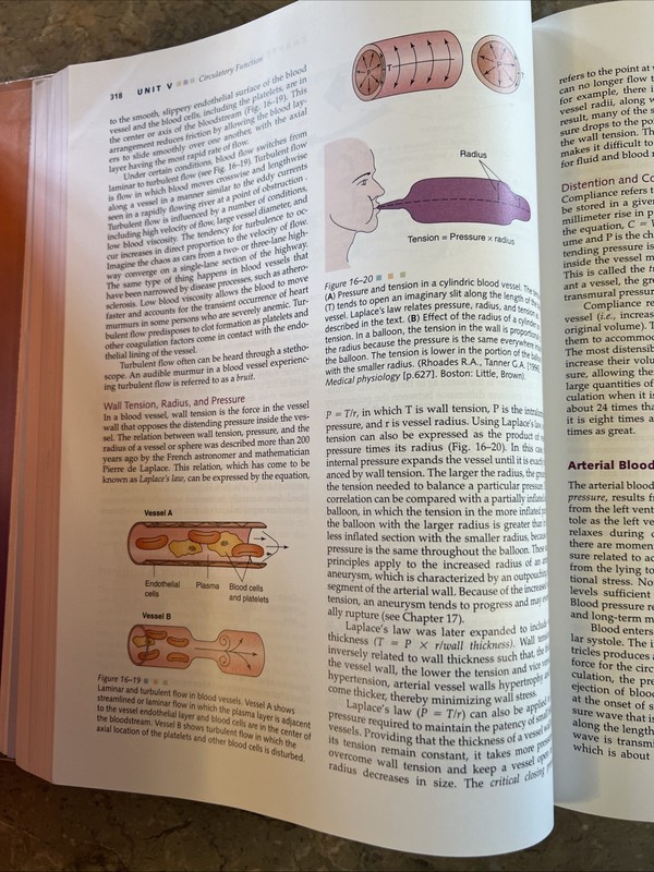 Pathophysiology: Concepts in Altered Health States 5th Edition (No Disk) gallery