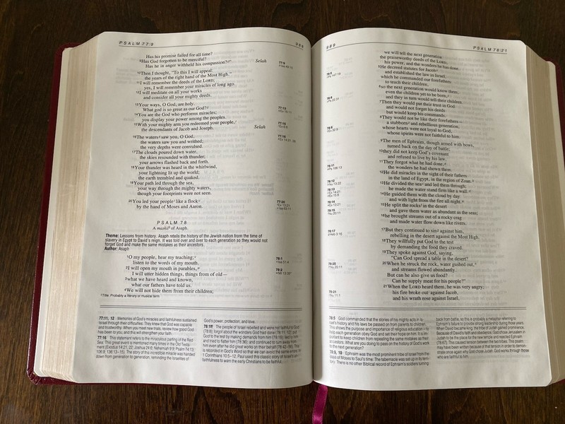 NIV Life Application Study Bible 1991 Burgundy Bonded Leather Zondervan gallery