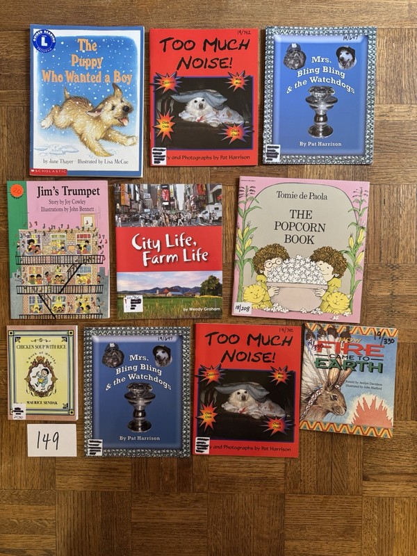Emergent Readers, Reading Recovery, 10 Bks, Lvl 18-19, 1-2 Gr, Homeschool, #149