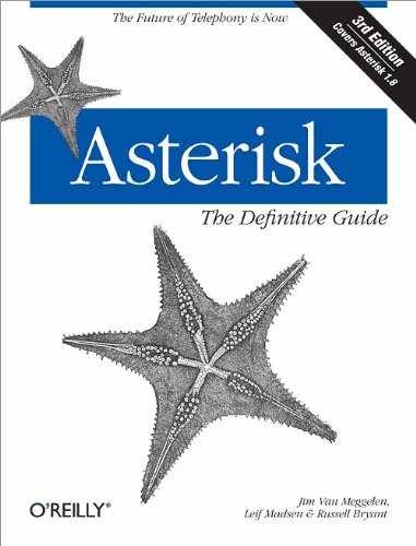 Asterisk: The Definitive Guide – Paperback, by Madsen Leif; Van – Very Good x