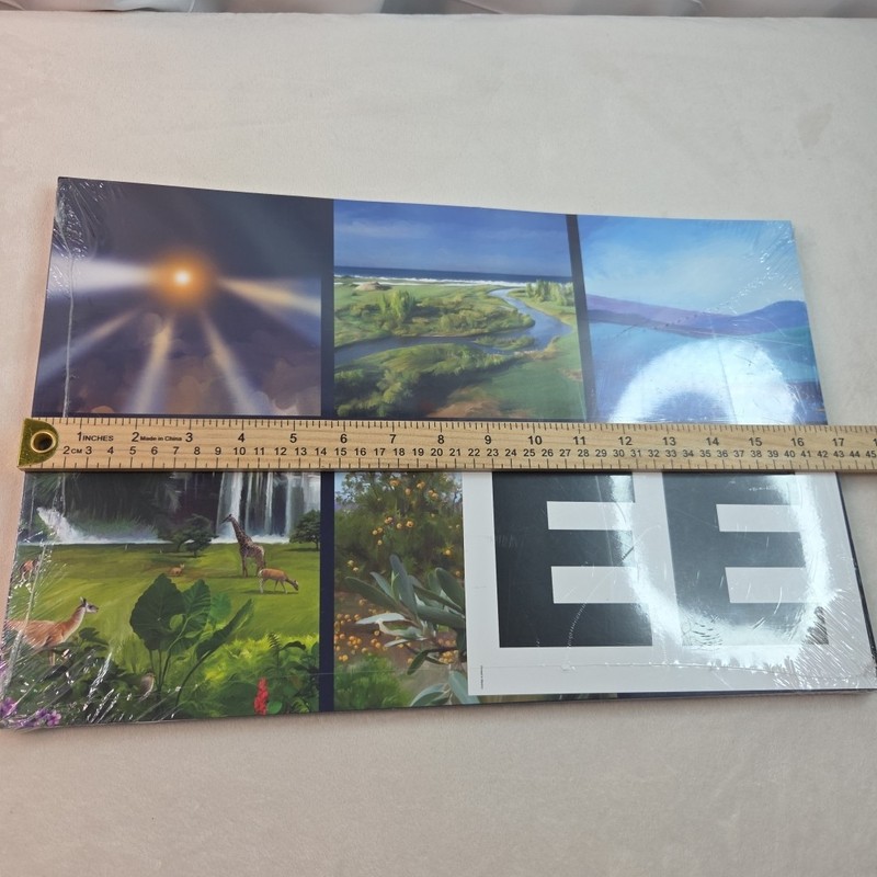 ACSI Purposeful Design Bible Preschool Visual Aids Large Cards 17 x 11" School gallery