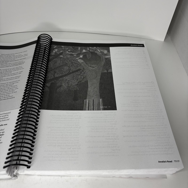Mosdos Press Literature: Ruby, Teacher’s Edition Part One- Good gallery