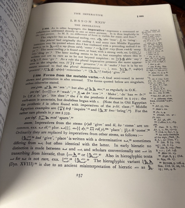 Egyptian Grammar Being an Introduction to the Study of Hieroglyphics HBDJ 1969 gallery