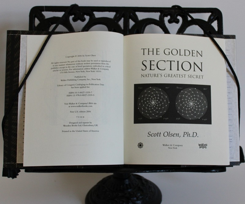 Wooden Bks.: The Golden Section : Nature's Greatest Secret by Scott Olsen (2006, gallery