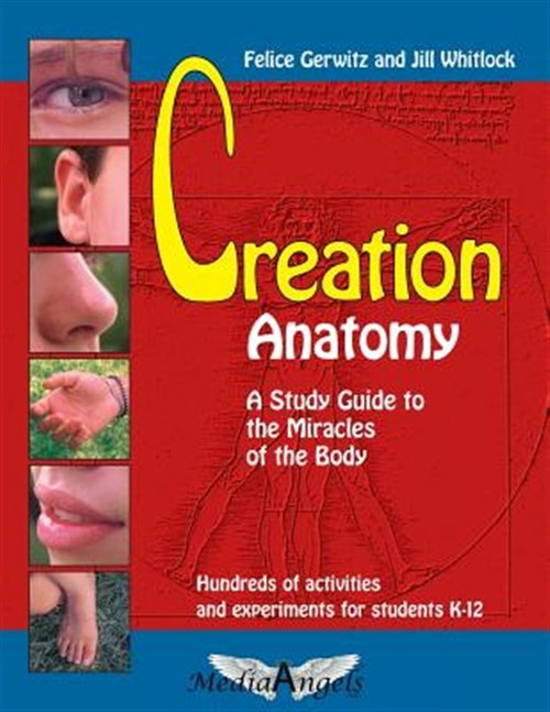 Creation Anatomy: A Study Guide to the Miracles of the Body by Gerwitz, Felic…