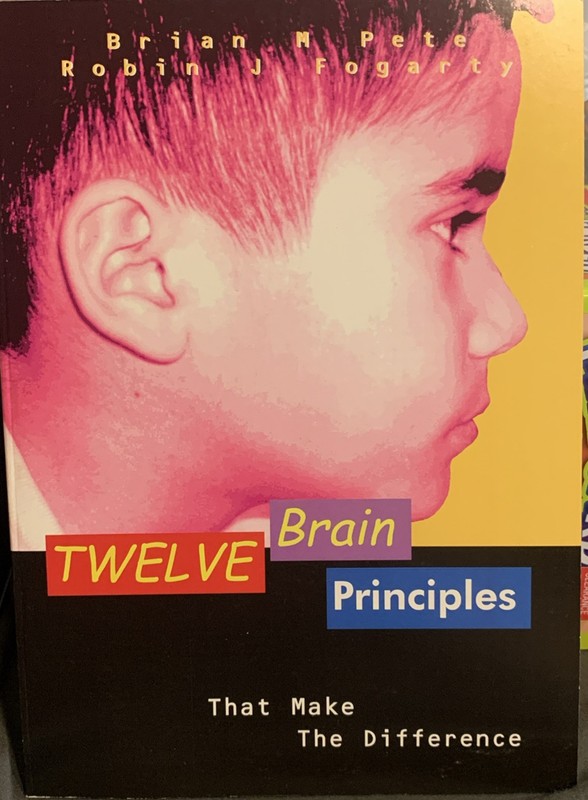 In a Nutshell Ser.: Twelve Brain Principles That Make the Difference by Brian…