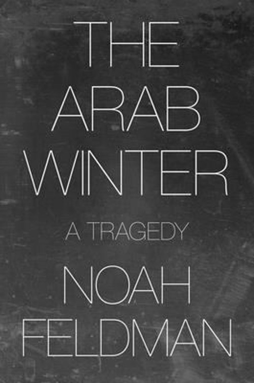 The Arab Winter : A Tragedy Hardcover Noah Feldman