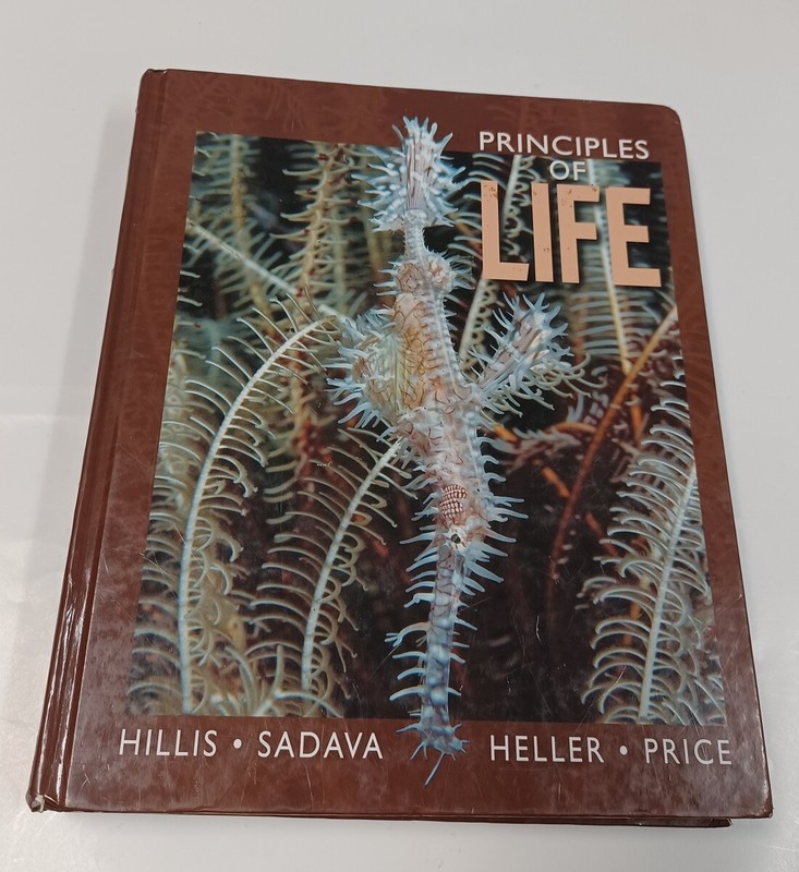 Principles of Life High School Edition – Hardcover By Hillis, David M. – GOOD