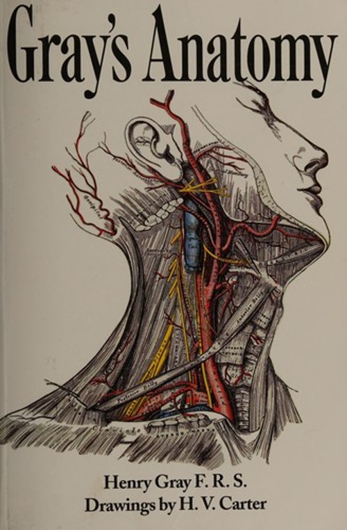 Gray’s Anatomy Paperback Henry Gray