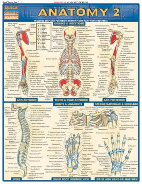 Anatomy 2 – Reference Guide 8. 5 X 11 : A QuickStudy Laminated Re