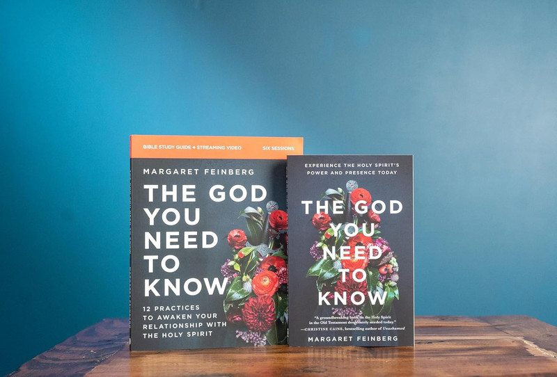 The God You Need to Know Study Guide plus Streaming Video: 12 Practices to Awake gallery