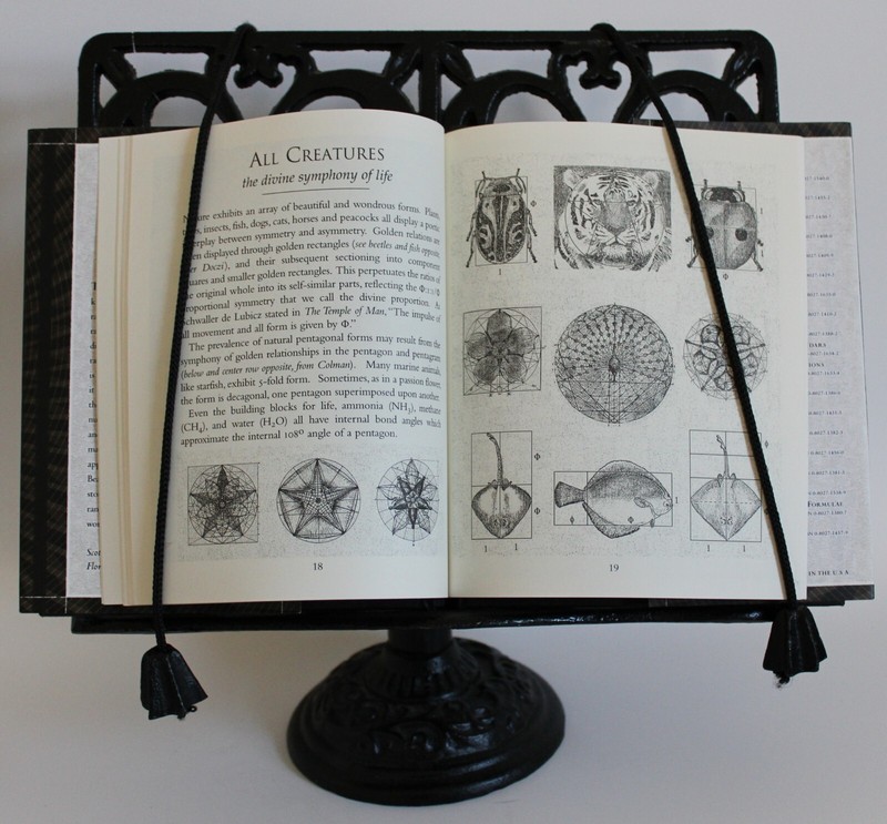 Wooden Bks.: The Golden Section : Nature's Greatest Secret by Scott Olsen (2006, gallery