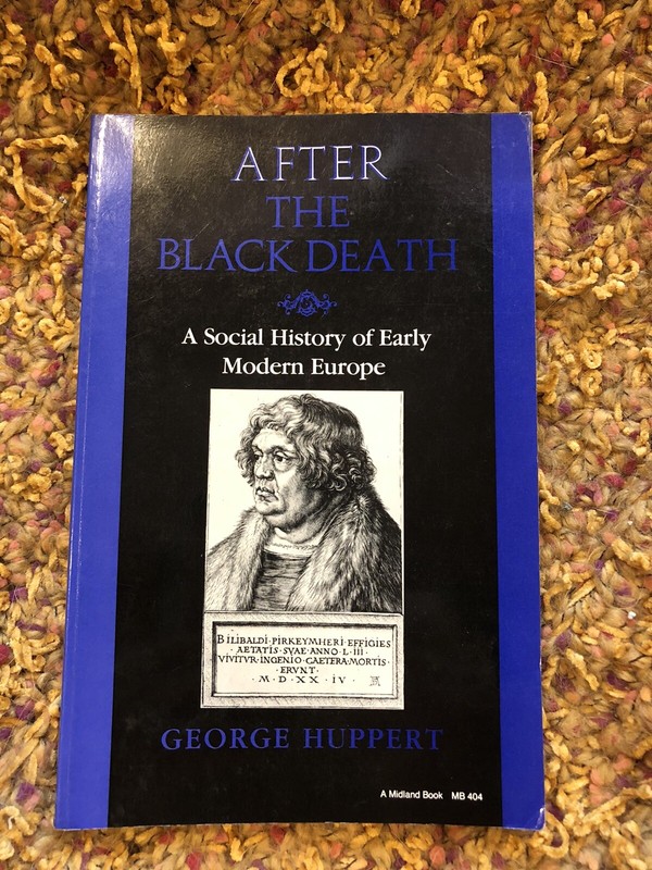 After the Black Death: A Social History of Early Modern Europe Huppert, George