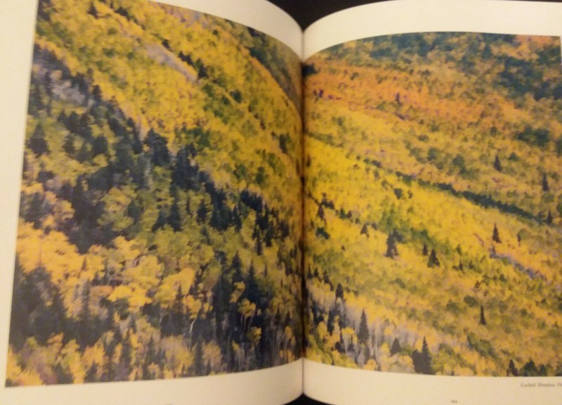 DIVIDED LIGHT - Hardcover + Dust Jacket 1st Print April 2020 Daniel James Alpert gallery