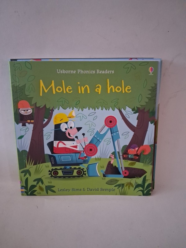 Usborne Phonics Collection 12 Book Box Set Readers Beginner Set gallery