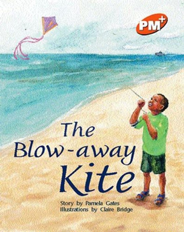 The Blow-away Kite 1st Edition by Pamela Gates (English) Paperback Book