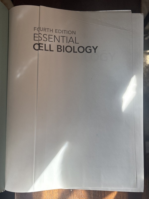Essential Cell Biology 4th Edition, Hard Cover, Used gallery