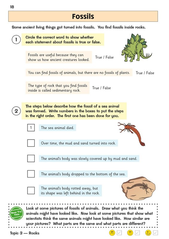 KS2 Year 3 Science Targeted Question Workbook with Answer Ages 7-8 CGP gallery