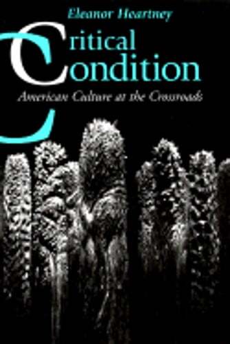 Critical Condition: American Culture at the Crossroads by Eleanor Heartney: Used