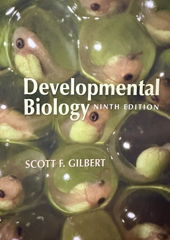 Developmental Biology by Scott F. Gilbert (2010, Ring/Wire Bound, Ninth Edition)