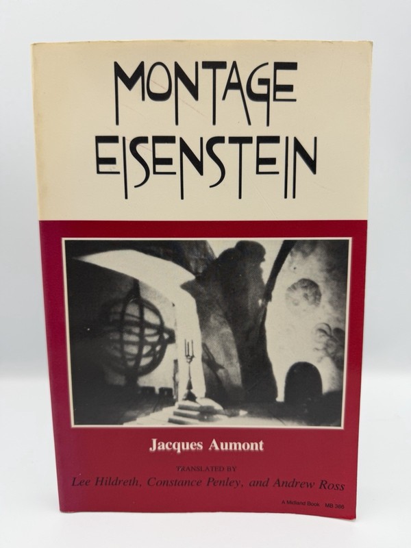 Montage Eisenstein by Jacques Aumont (Theories of representation and difference)