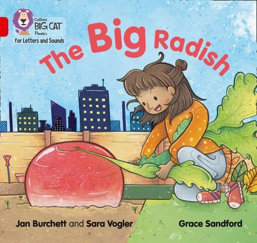 Collins Big Cat Ser.: Collins Big Cat Phonics for Letters and Sounds – the …