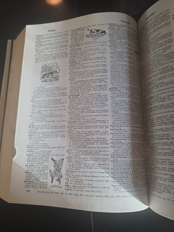Dictionary Unabridged Second Edition Deluxe Color Websters Twentieth Century gallery