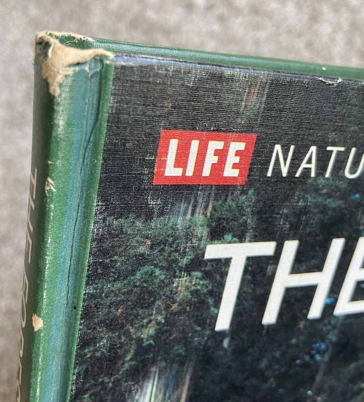 Time Life Books Science Library Series The Forest Vintage Learning 1971 📕 gallery