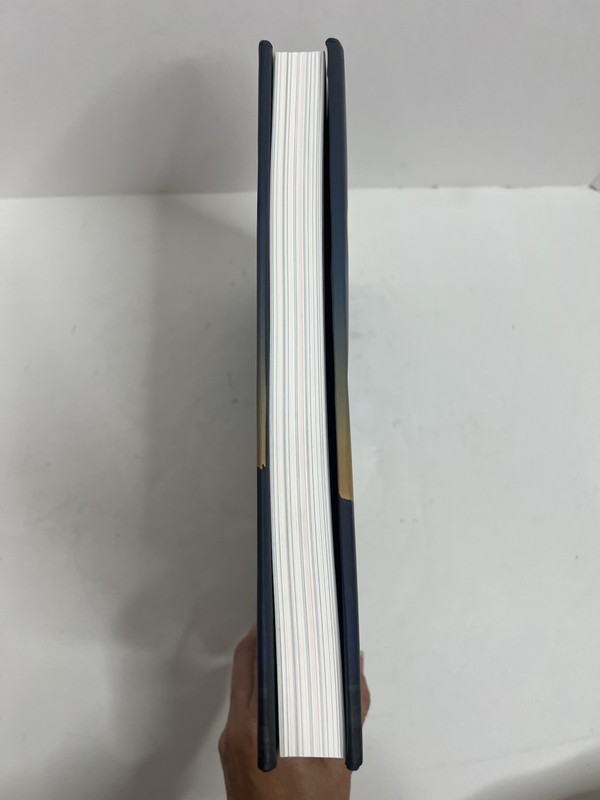 DIVIDED LIGHT - Hardcover + Dust Jacket 1st Print April 2020 Daniel James Alpert gallery