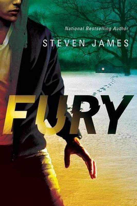 Fury by Steven James (English) Paperback Book