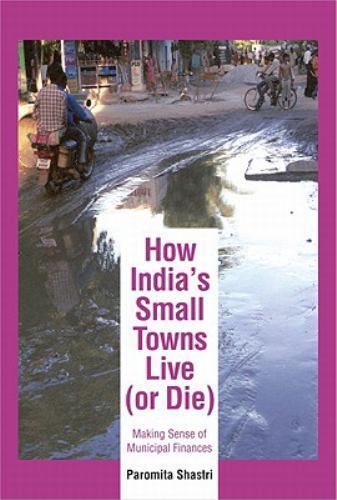 How India’s Small Towns Live (or Die): Making Sense of Municipal Finances