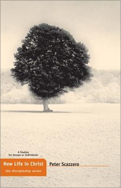 New Life in Christ (Paperback or Softback)