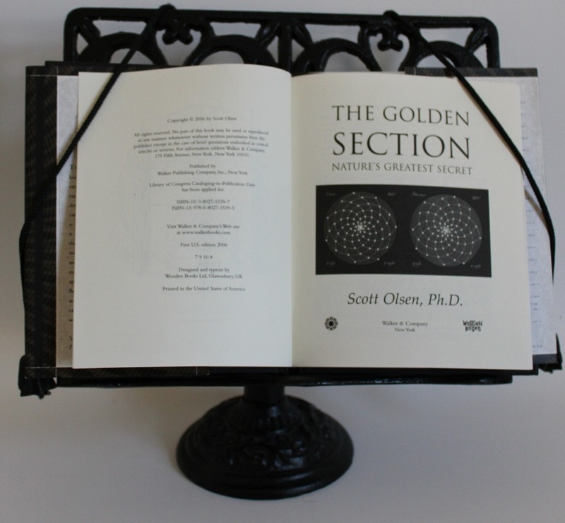 Wooden Bks.: The Golden Section : Nature's Greatest Secret by Scott Olsen (2006, gallery