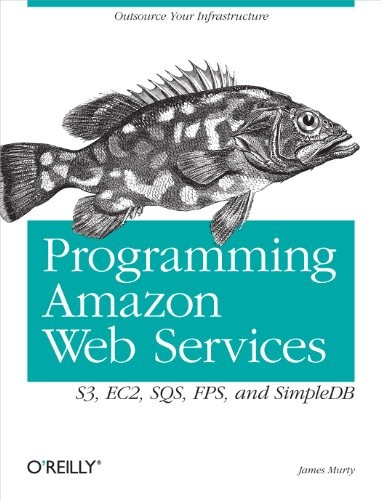 Programming Amazon Web Service – ACCEPTABLE