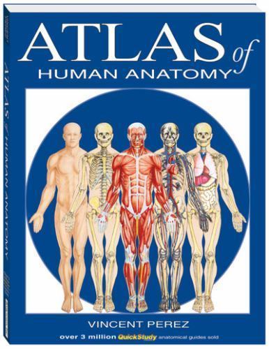 Atlas of Human Anatomy by Vincent Perez (2006, Trade Paperback)