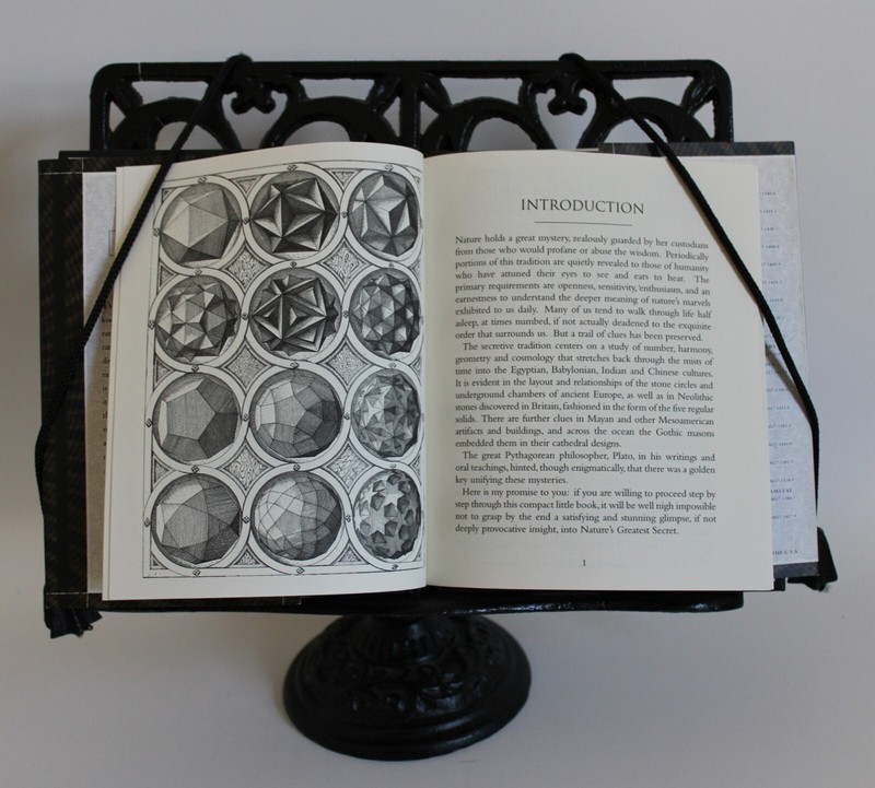 Wooden Bks.: The Golden Section : Nature's Greatest Secret by Scott Olsen (2006, gallery