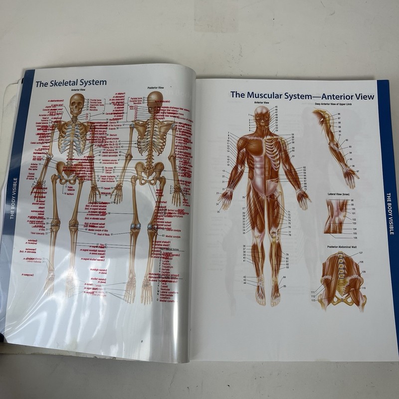 Memmler's The Human Body in Health & Disease Barbara Jansen Cohen 14th Ed 2018 gallery